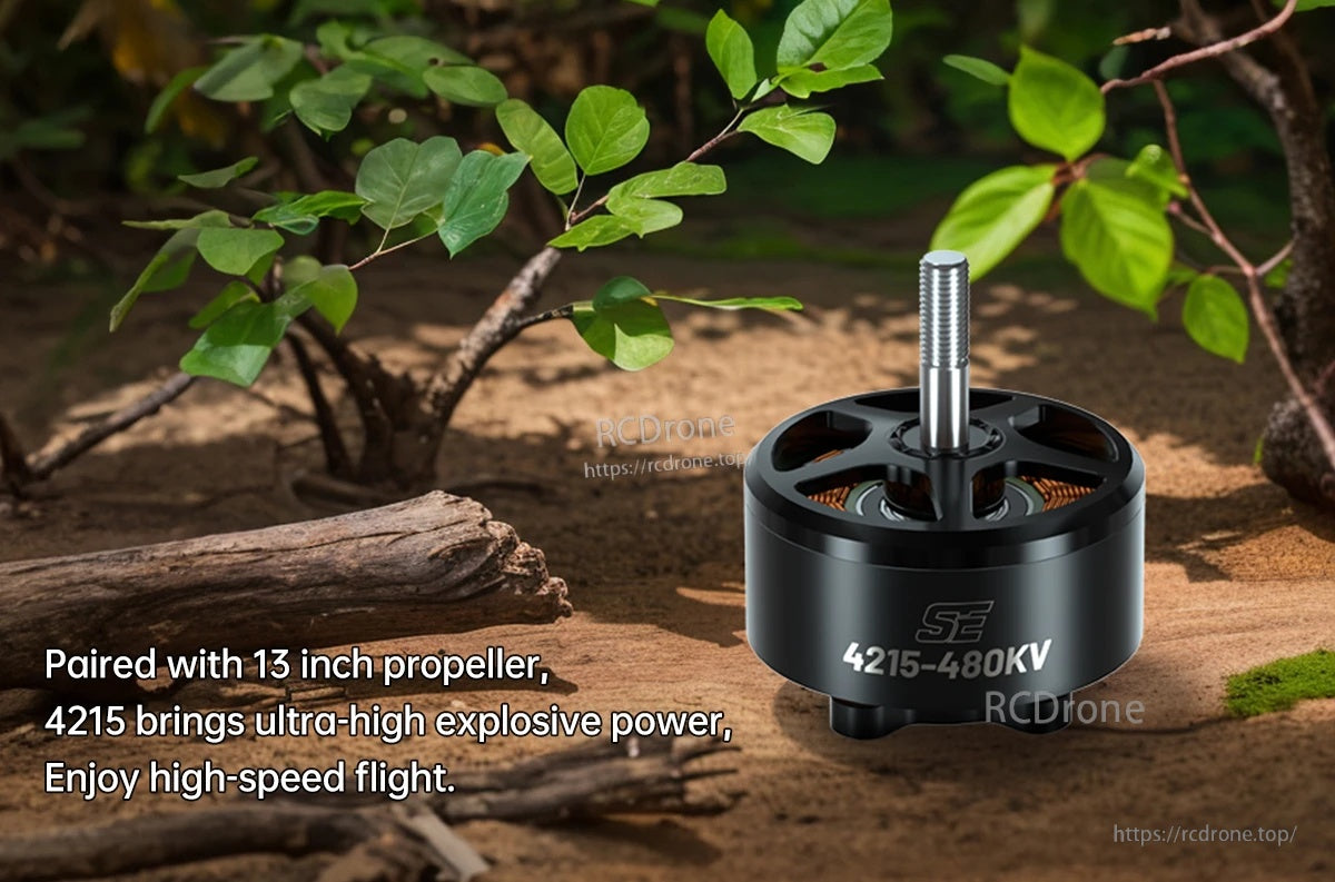 BrotherHobby SE 4215 480KV Motor(CW)