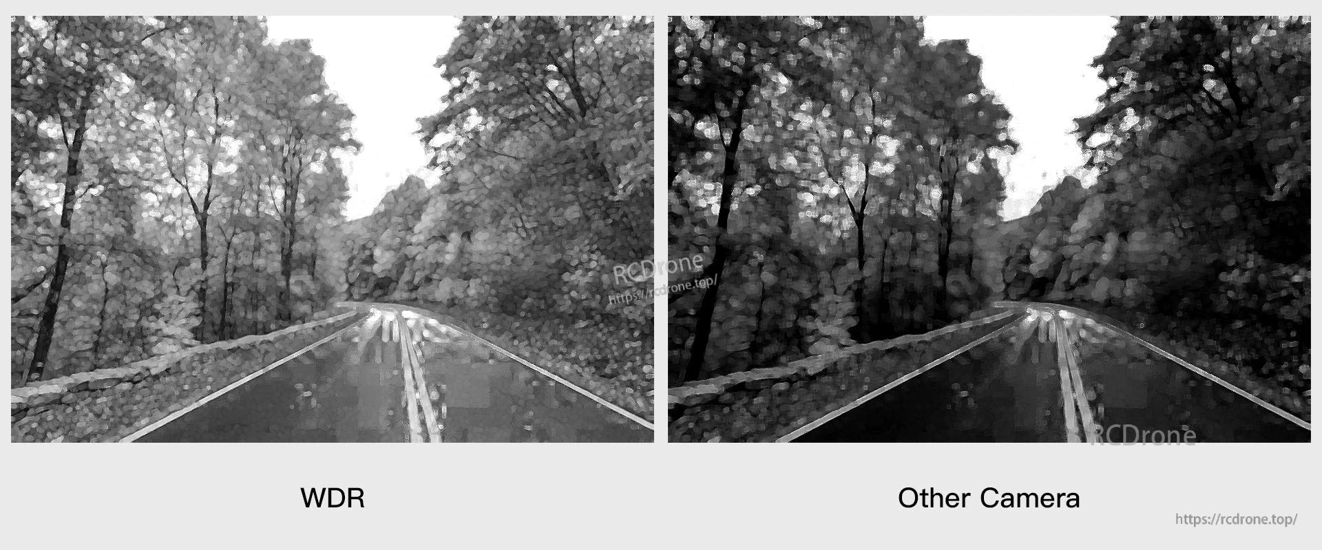 CaddxFPV Infra V2 FPV Camera, The camera has a 1/1.8 inch black and white sensor with AI night vision and a 2.8mm F1.0 lens.