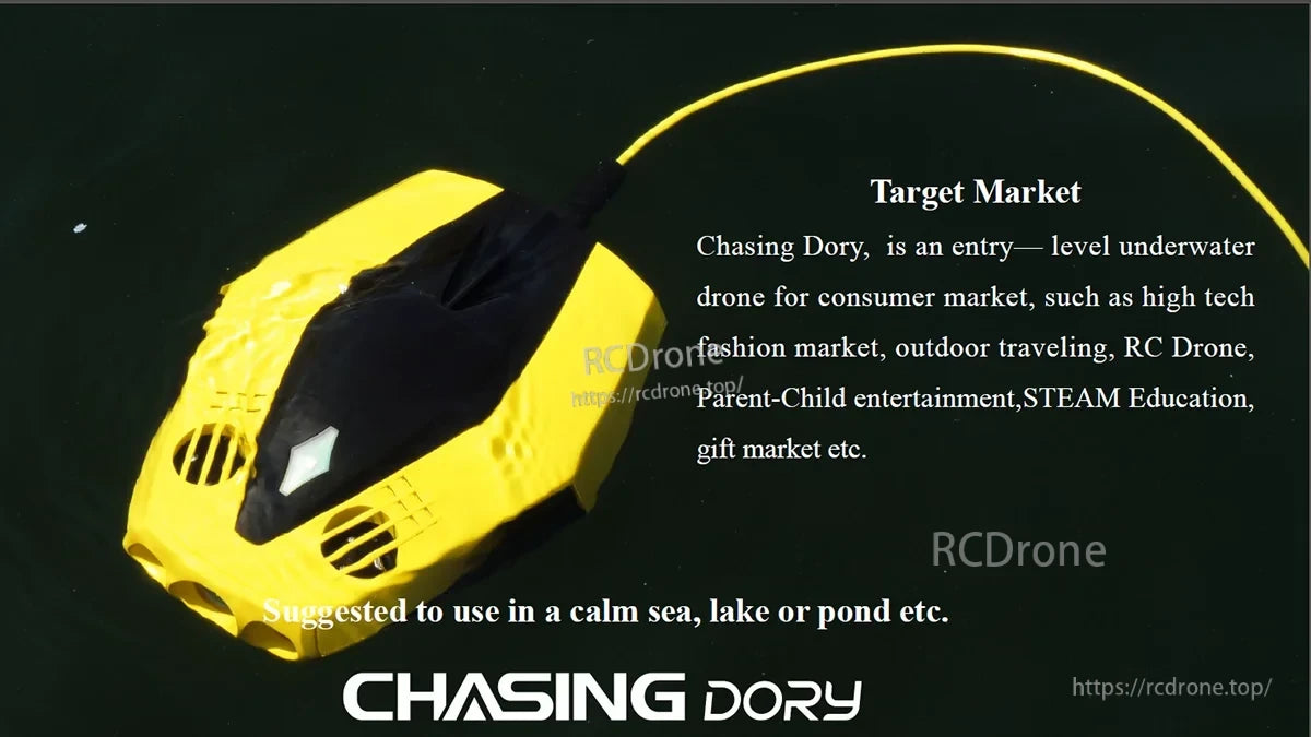 Chasing Dory Rov Camera, Entry-level underwater drone for consumer markets, suitable for calm seas, lakes, or small ponds.
