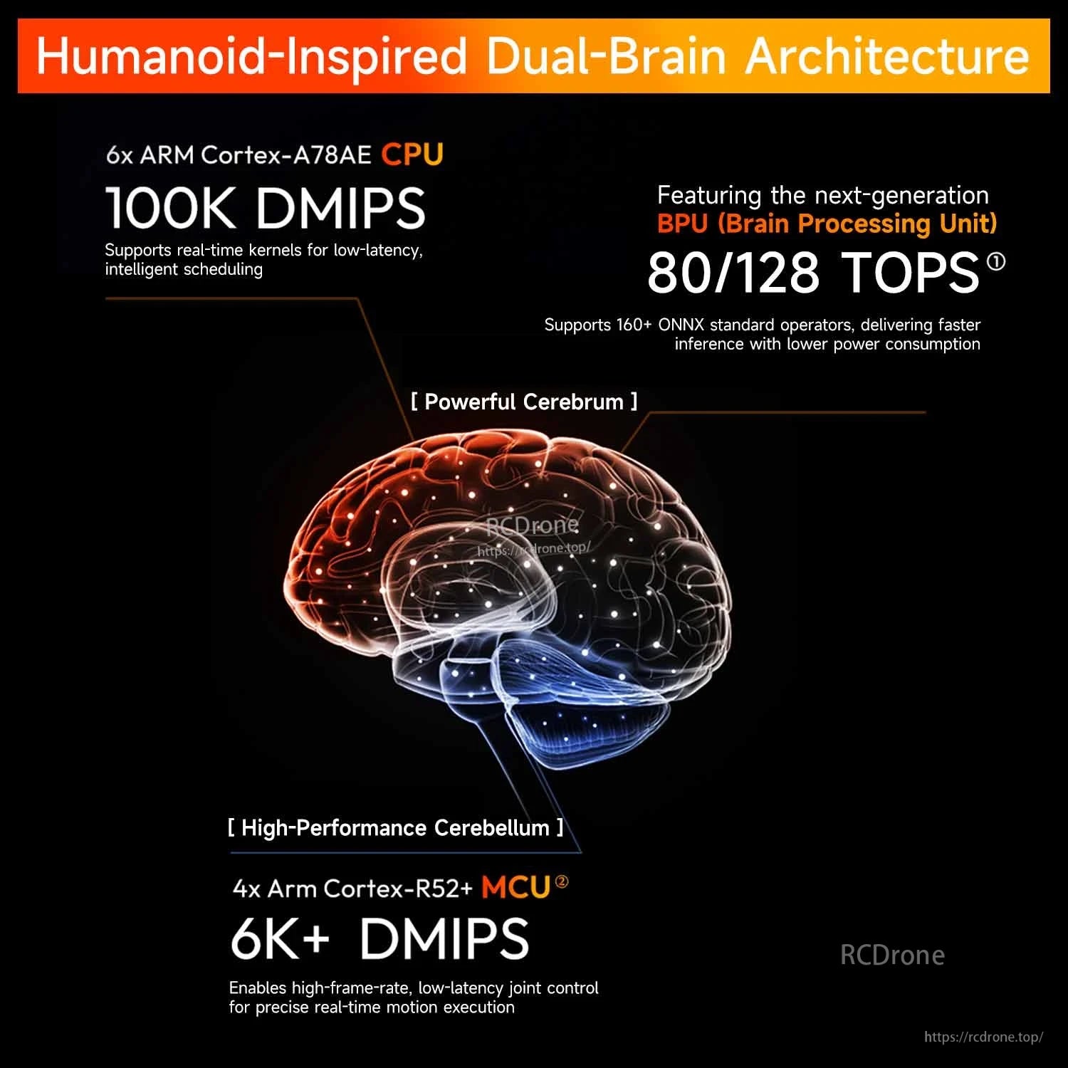 Dual-brain architecture graphic showing CPU, MCU and 80/128 TOPS BPU (brain processing unit)