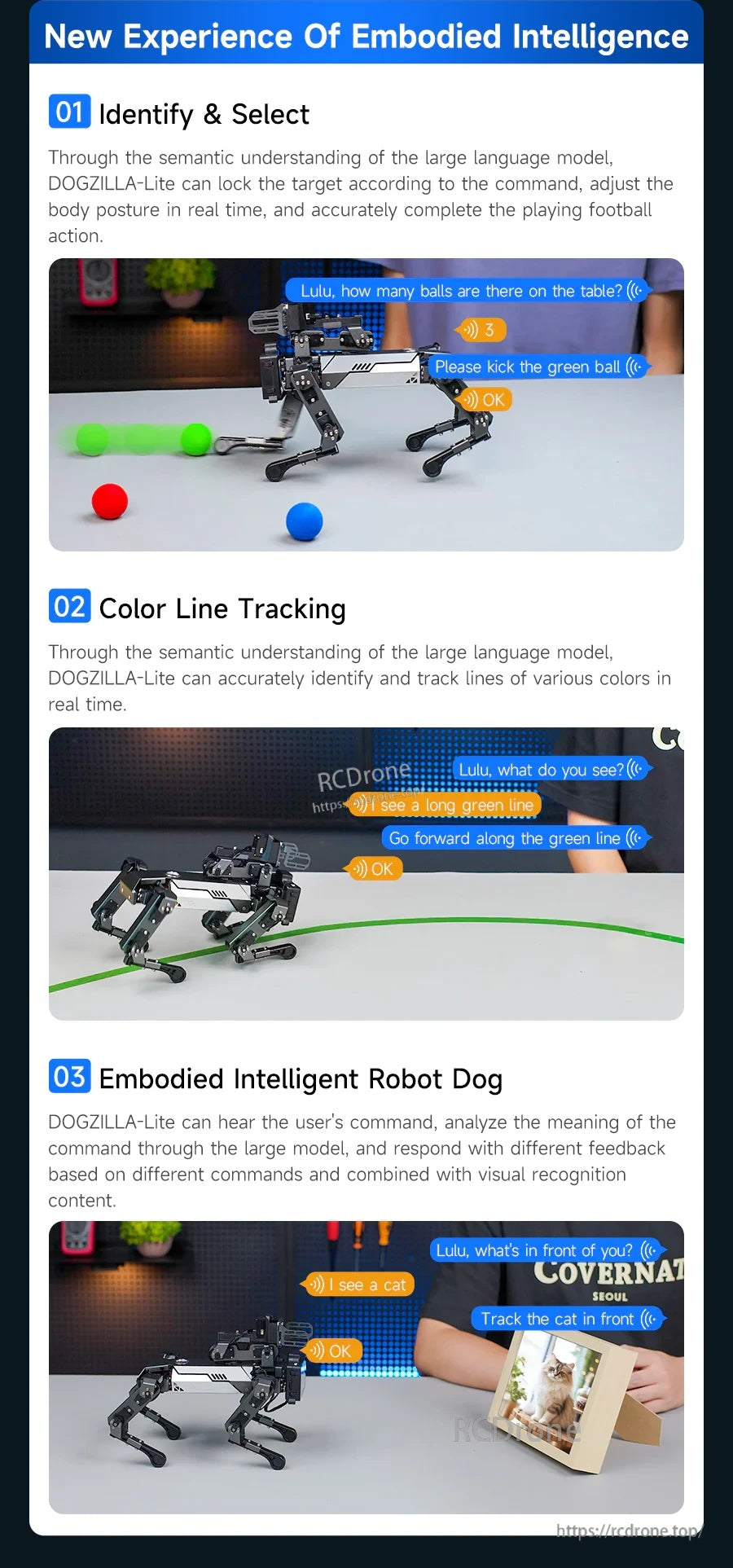 Embodied intelligence demos: identify and select objects, color line tracking, and command-based control
