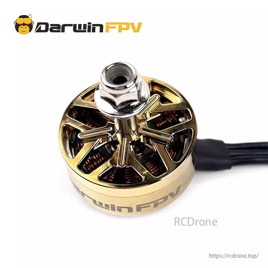DarwinFPV 2507 1850KV 3-6S Brushless Motor, The motor has a robust configuration, 4mm output shaft, and compatibility with LiPo batteries, ideal for long-range and freestyle settings.