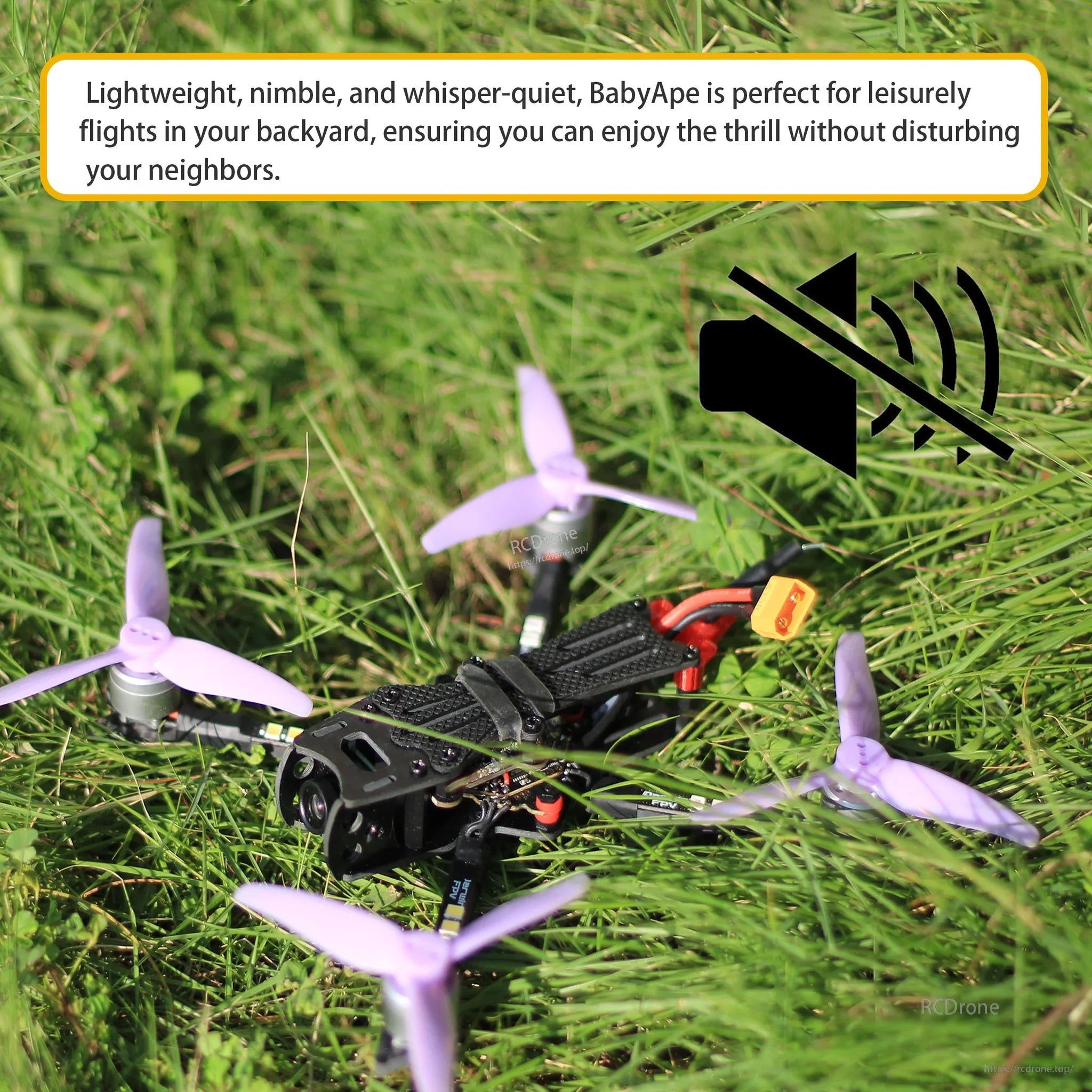 BabyApe FPV quadcopter resting on grass with purple propellers and battery lead visible, designed for quiet backyard flying