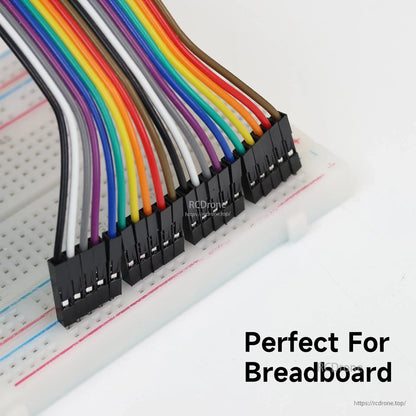 Dupont jumper wire connectors plugged into a breadboard, close-up showing pin alignment and fit