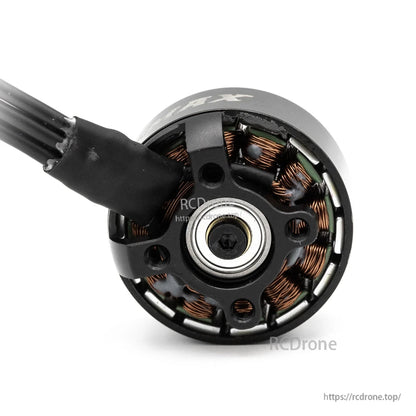 Bottom mount view with bearing center, screw holes, and wire exit on PRO-2810 motor