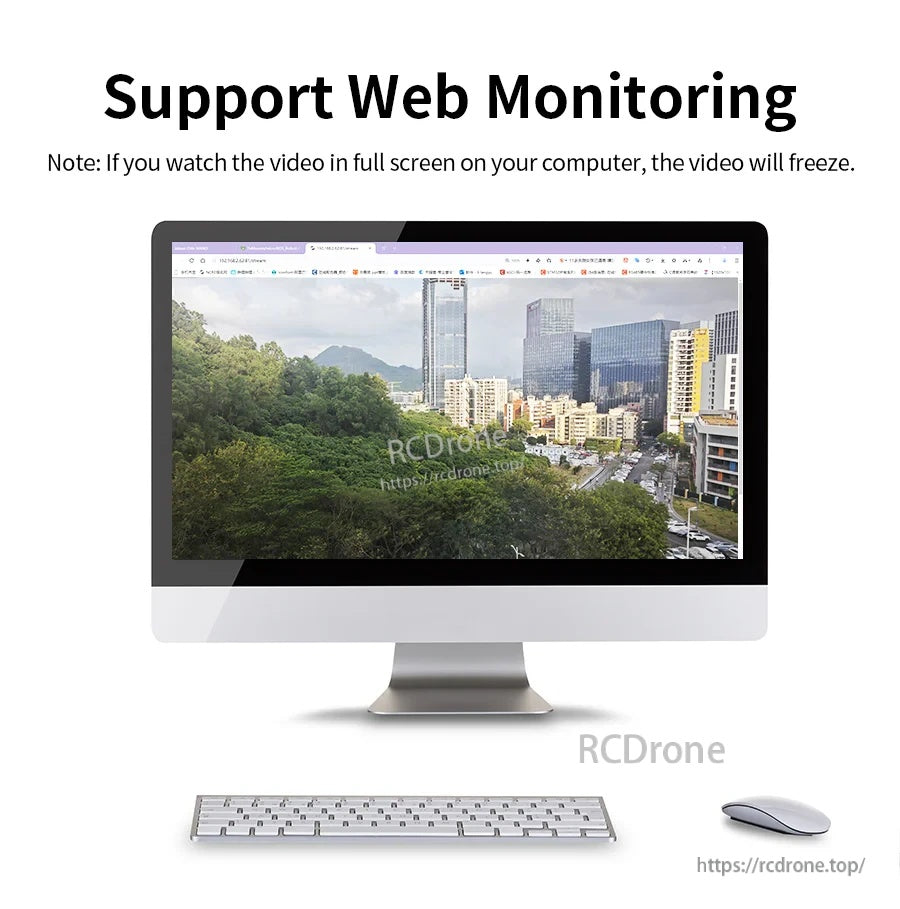 Web monitoring support screen displayed on desktop computer, showing live video view in browser