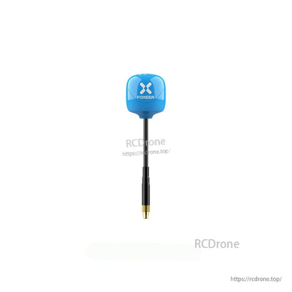 Foxeer Lollipop 4 Plus 5.8GHz FPV omni antenna with blue cap, black stem, and gold threaded connector