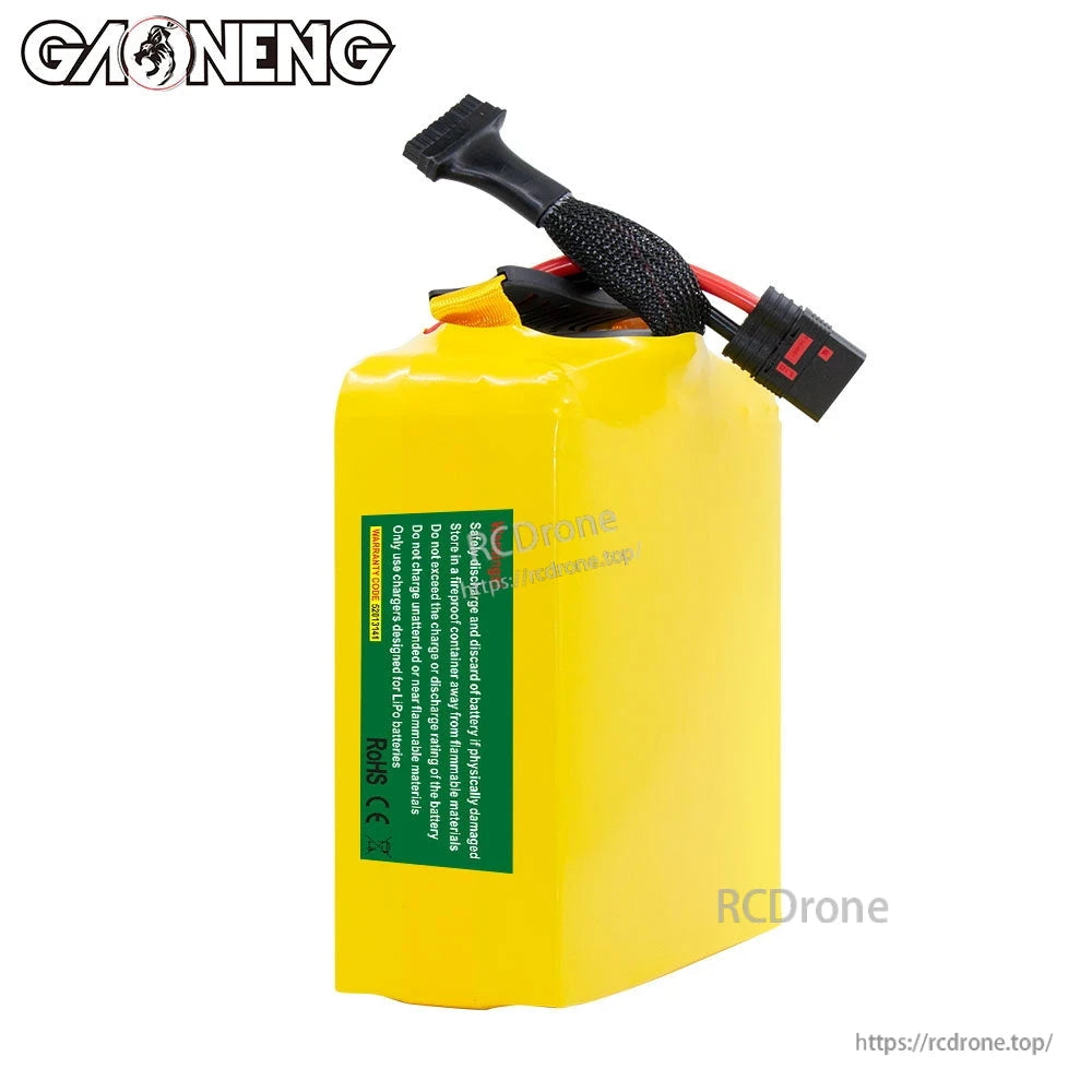 Rear view showing green safety/spec label on GAONENG battery pack with wired leads