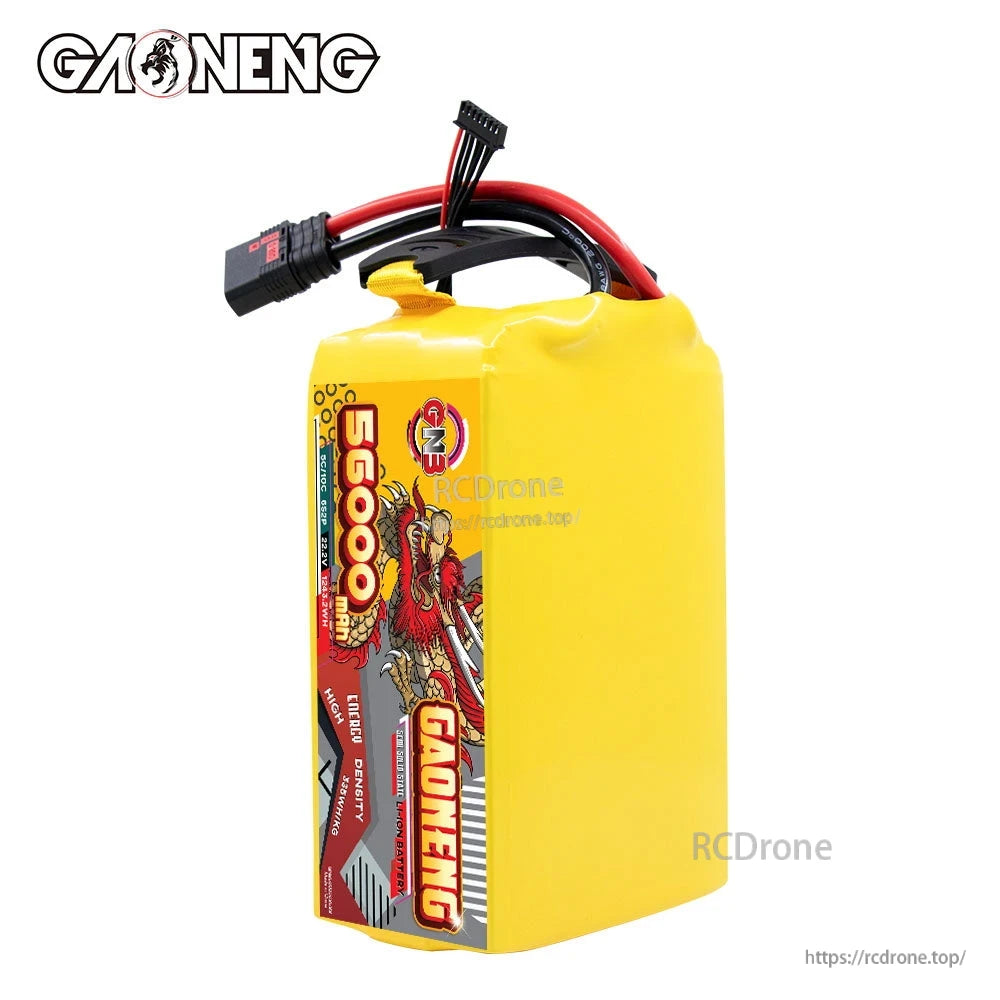 Upright view of GAONENG GNB 56000mAh battery pack showing dragon side label and top leads