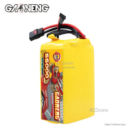 Upright view of GAONENG GNB 56000mAh battery pack showing dragon side label and top leads