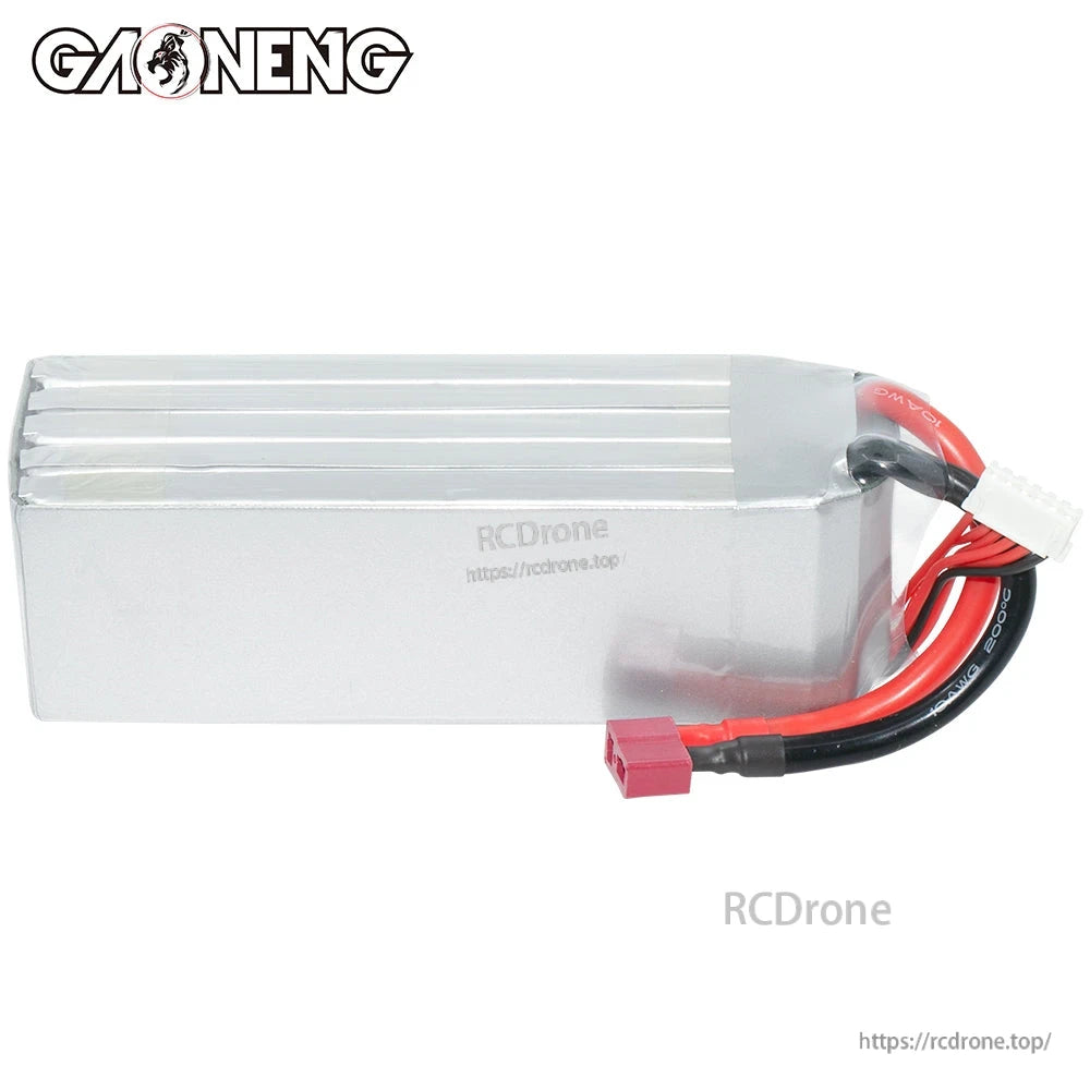 Rear side view of silver hardcase battery with T-plug leads and white balance connector