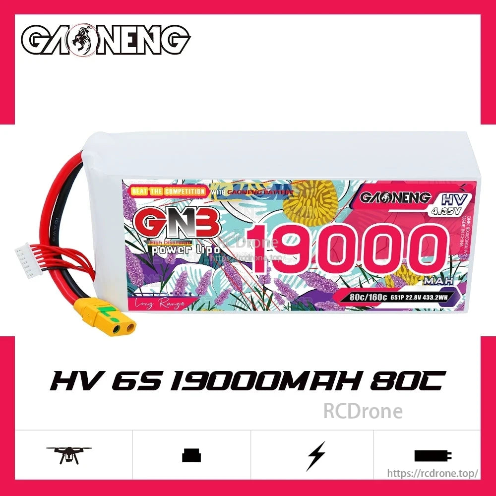 GAONENG GNB HV 6S 19000mAh 80C LiPo battery product graphic on white background