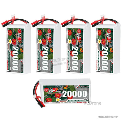 Bundle layout with four upright GNB 20000mAh packs and one horizontal pack, labels visible
