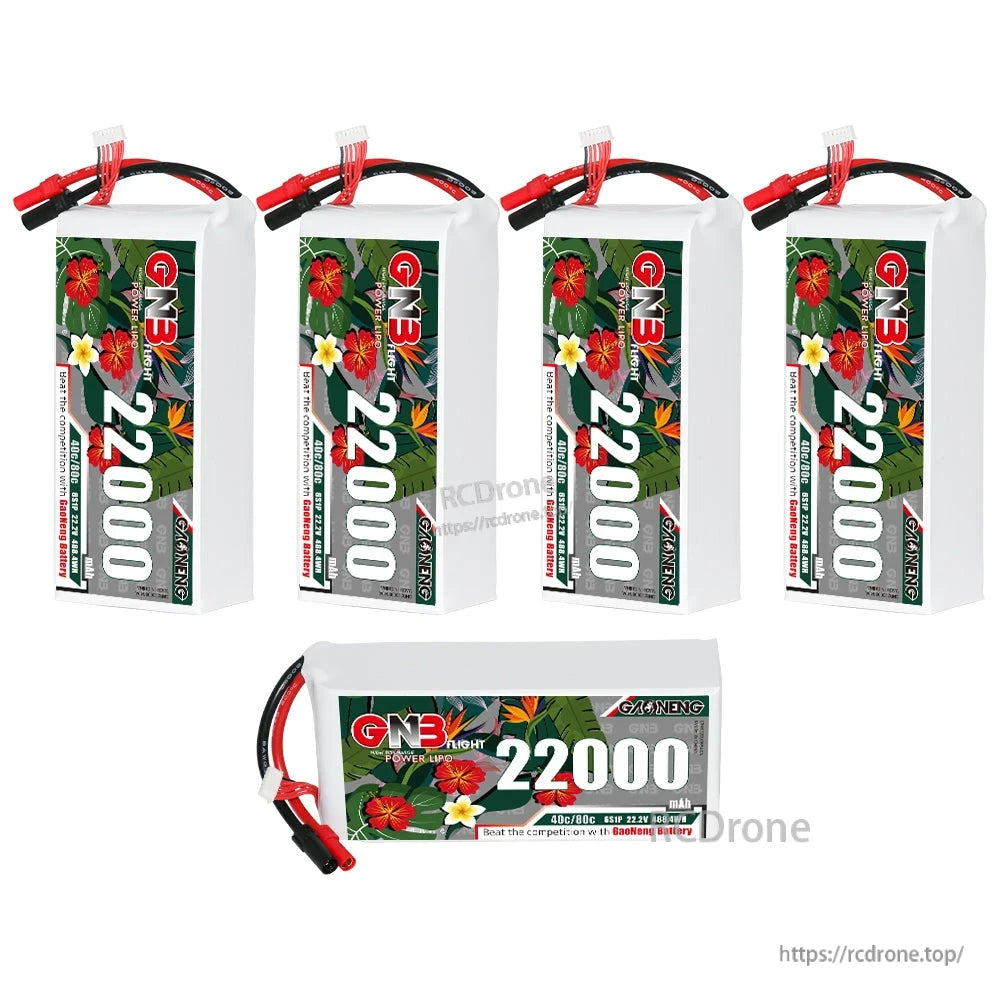 Set of five batteries: four upright plus one horizontal showing 22000 label and leads
