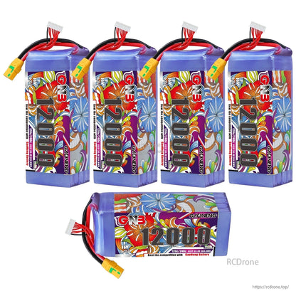 Five GAONENG GNB 12000 battery packs shown, four upright plus one horizontal, connectors visible