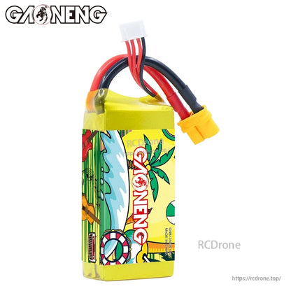 GAONENG GNB battery side view showing GAONENG logo wrap and wiring exit