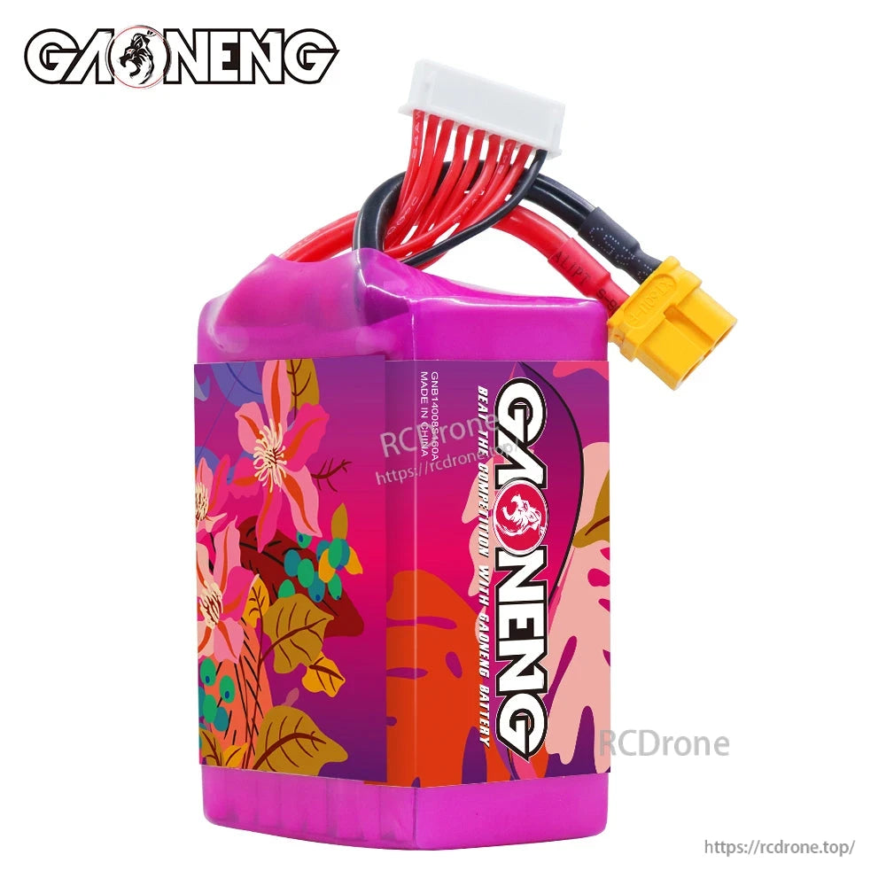 Opposite side view of GAONENG GNB battery showing GAONENG logo panel and top wire bundle