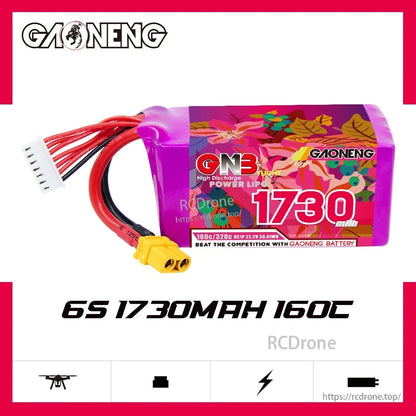 GAONENG GNB 6S 1730mAh 160C battery graphic showing side profile with XT60 lead