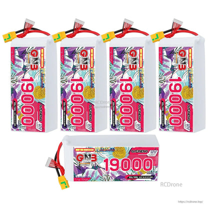 Five-pack set of GAONENG GNB 19000mAh HV LiPo batteries, four upright plus one horizontal