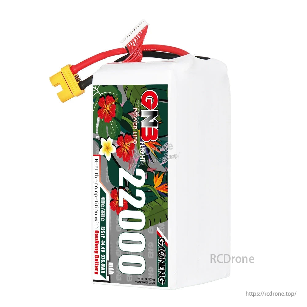 Single GNB 22000mAh battery upright view showing front floral label and top wire exit