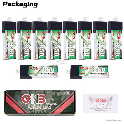 Packaging display with 12 batteries (10 upright, 2 side), GNB Racing box, and manual card