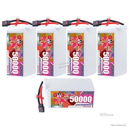Five battery pack set display: four upright GNB 50000mAh packs plus one horizontal pack