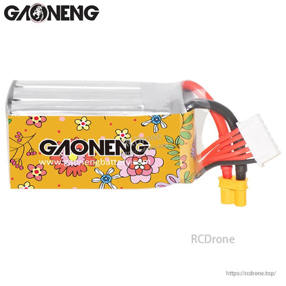 Opposite side view of GAONENG GNB battery showing GAONENG logo panel and lead exit point