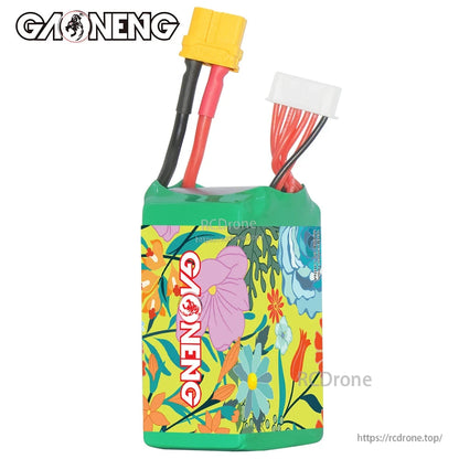 Rear view of GAONENG GNB battery showing floral wrap, GAONENG logo, and top выход leads