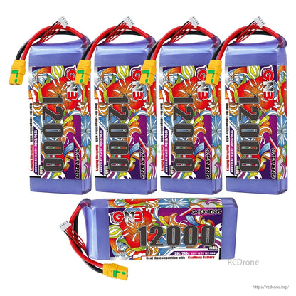 Five-pack layout: four upright GNB 12000 batteries plus one horizontal pack showing label and leads