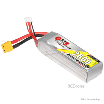 GNB 3S 11.1V 2600mAh 100C LiPo battery angled view showing label and XT60 leads