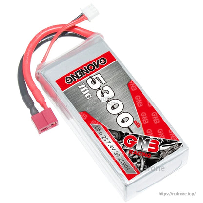 Angled top view showing GNB 5300 label, red/black leads, T-plug and white balance connector