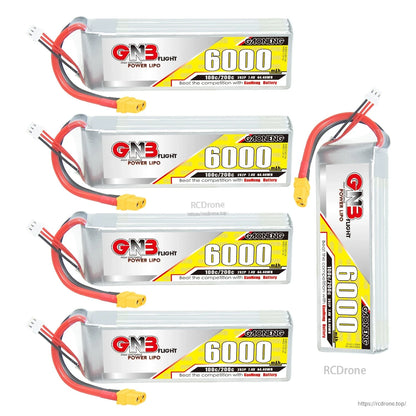 Bundle layout showing four horizontal GNB 6000mAh LiPo packs plus one standing pack, all with XT60 leads
