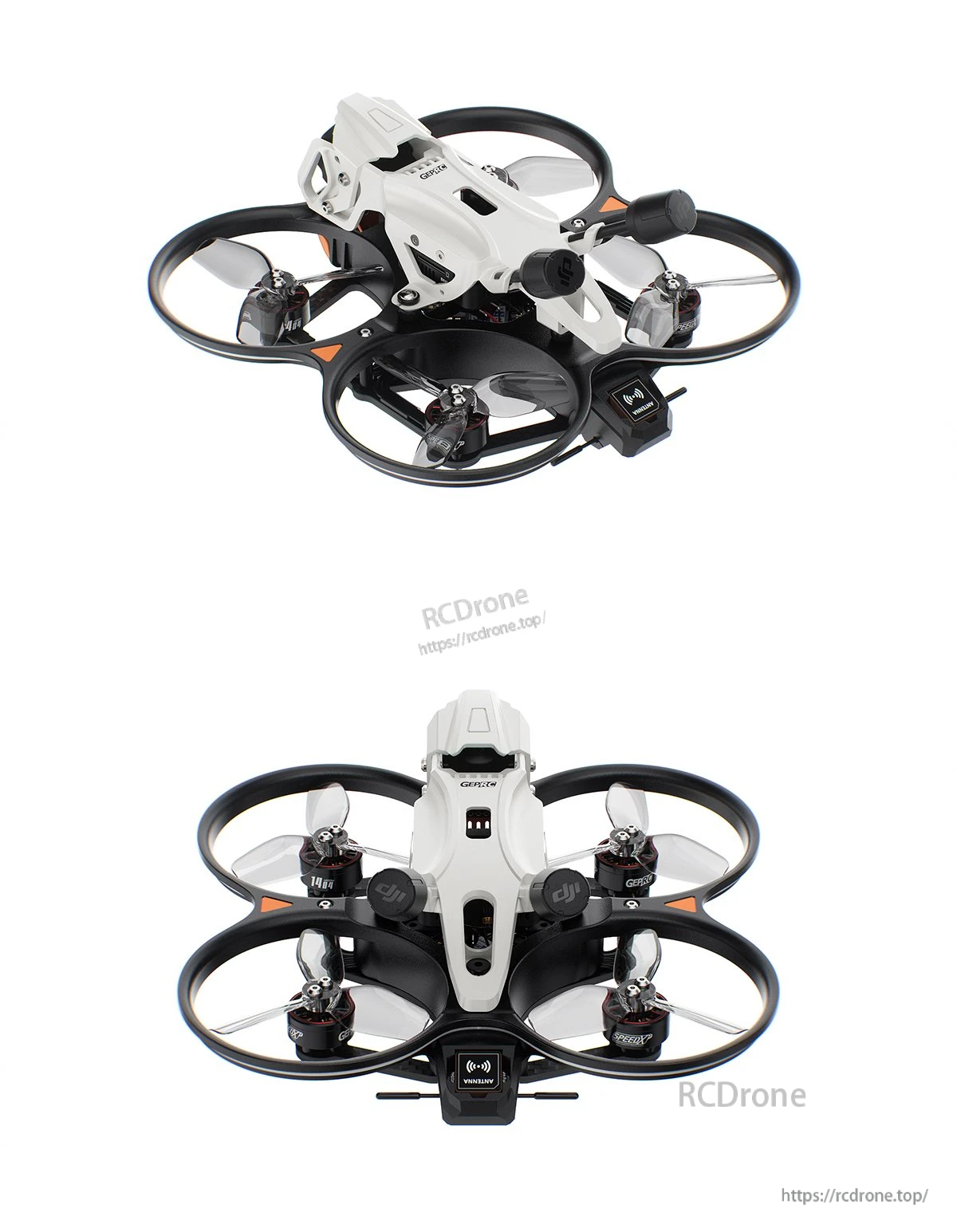 DarkStar25 CineWhoop rear three-quarter and top product views with ducted propellers
