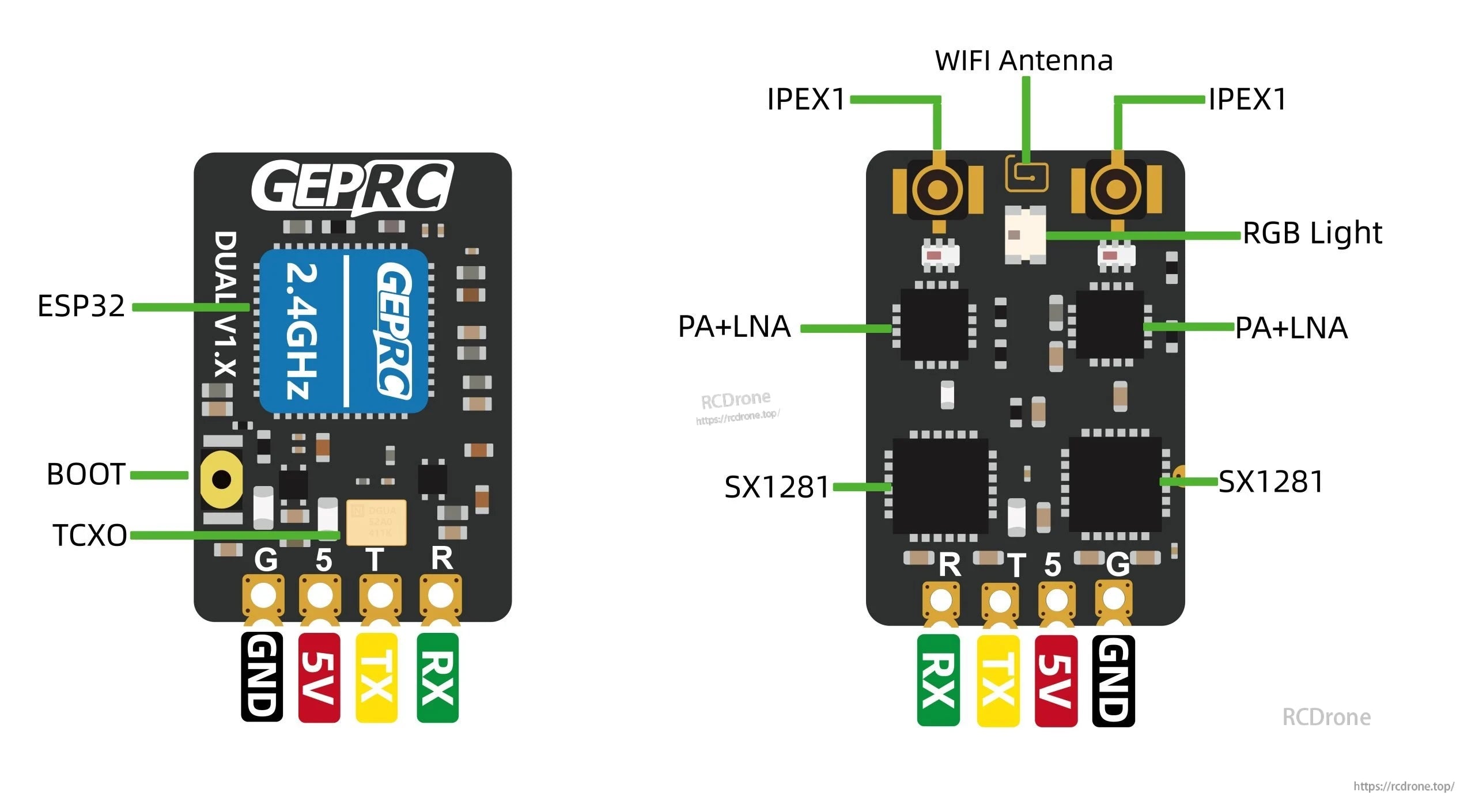 GEPRC ELRS DUAL 2.4G Diversity Receiver, GEPRC ELRS Dual 2.4GHz diversity receiver board layout with IPEX1 antenna ports and RX/TX/5V/GND pads