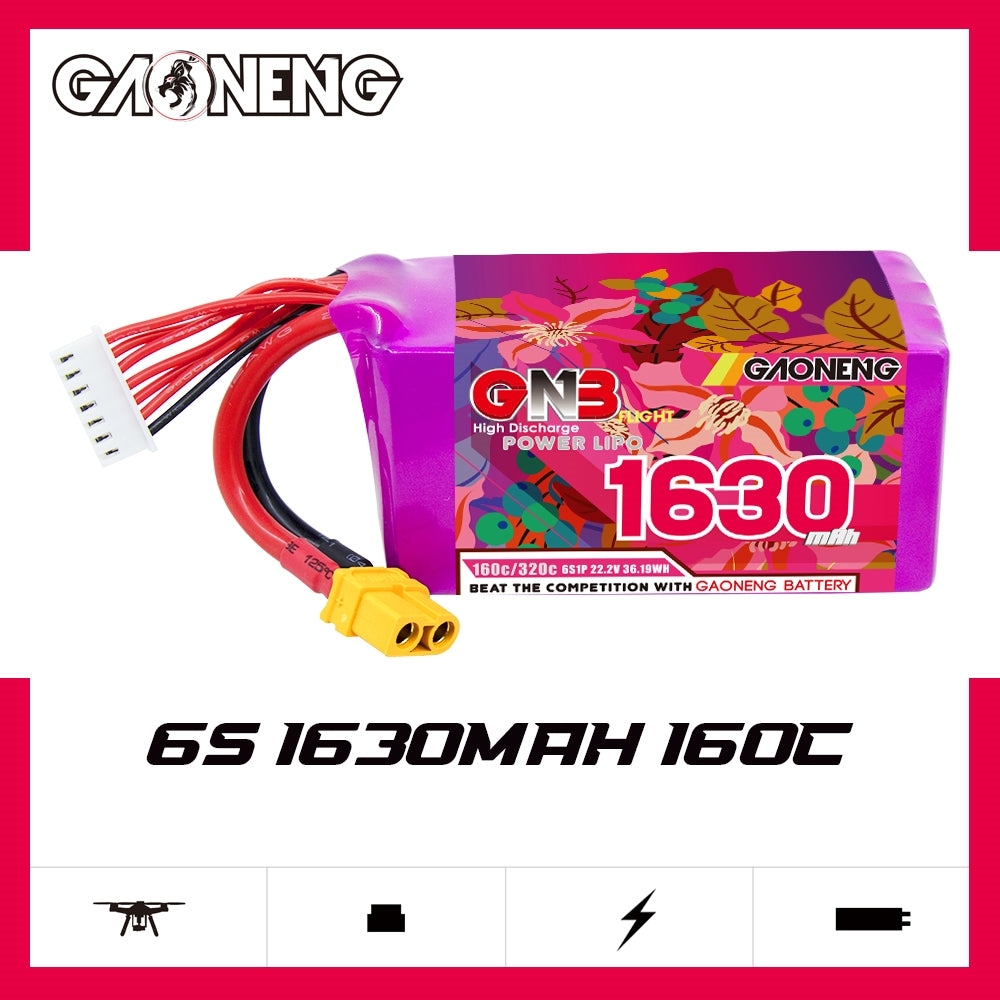 GAONENG GNB 6S 1630mAh 160C battery on spec graphic with printed label visible