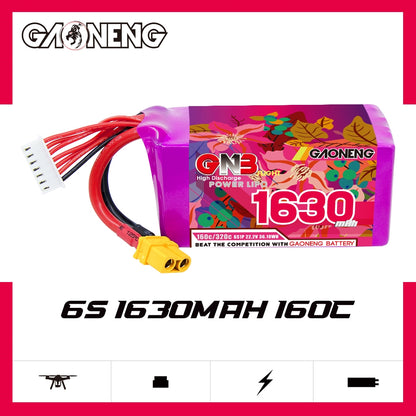 GAONENG GNB 6S 1630mAh 160C battery on spec graphic with printed label visible