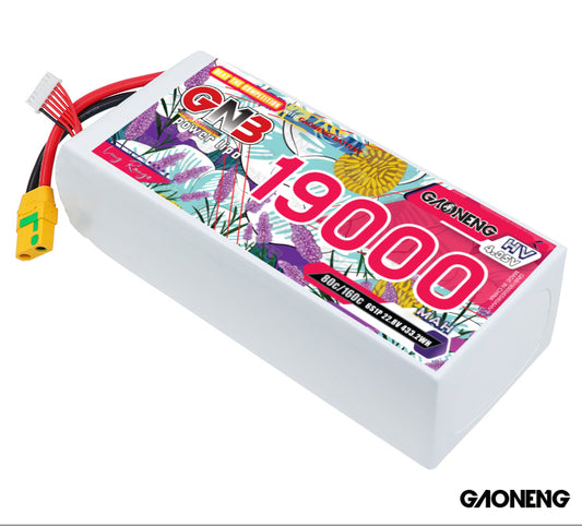 GAONENG GNB 6S 19000mAh HV LiPo battery pack, labeled top view with XT90S anti-spark lead