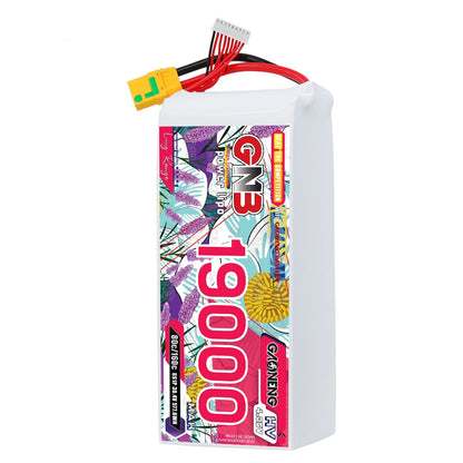 GAONENG GNB 8S 19000mAh HV LiPo battery pack with XT90S anti-spark plug and balance lead