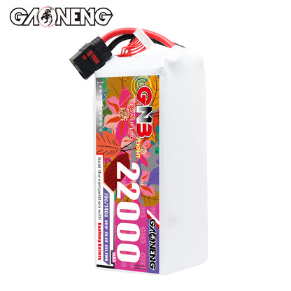 Upright front view of GAONENG GNB 22000 battery showing colorful 22000 label and QS8 lead