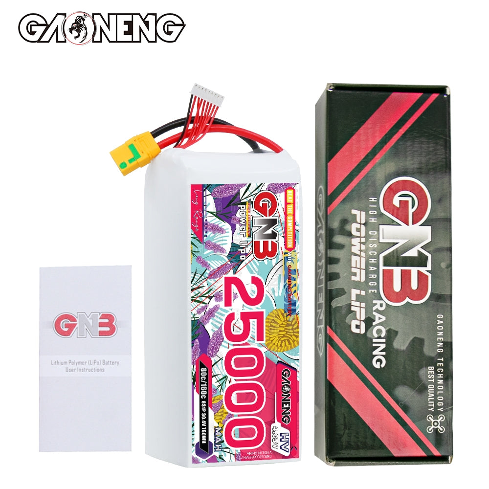 Package contents: GAONENG GNB 25000mAh battery, retail box, and instruction leaflet