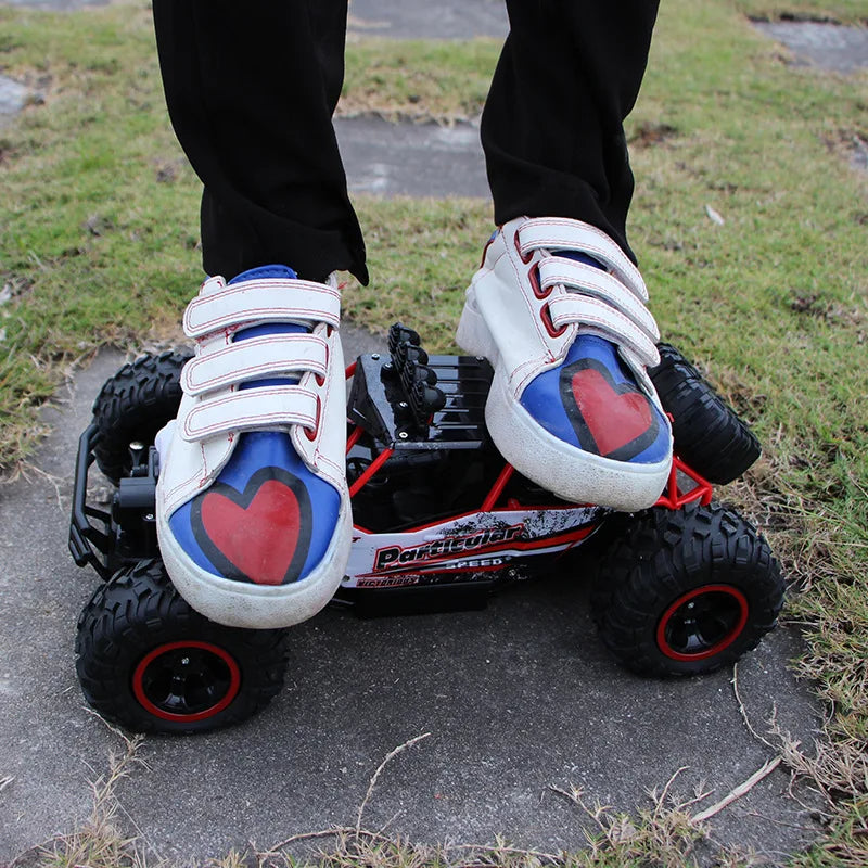 ZWN RC Car, the 37CM version uses a 2.4Ghz remote control, so playing together will