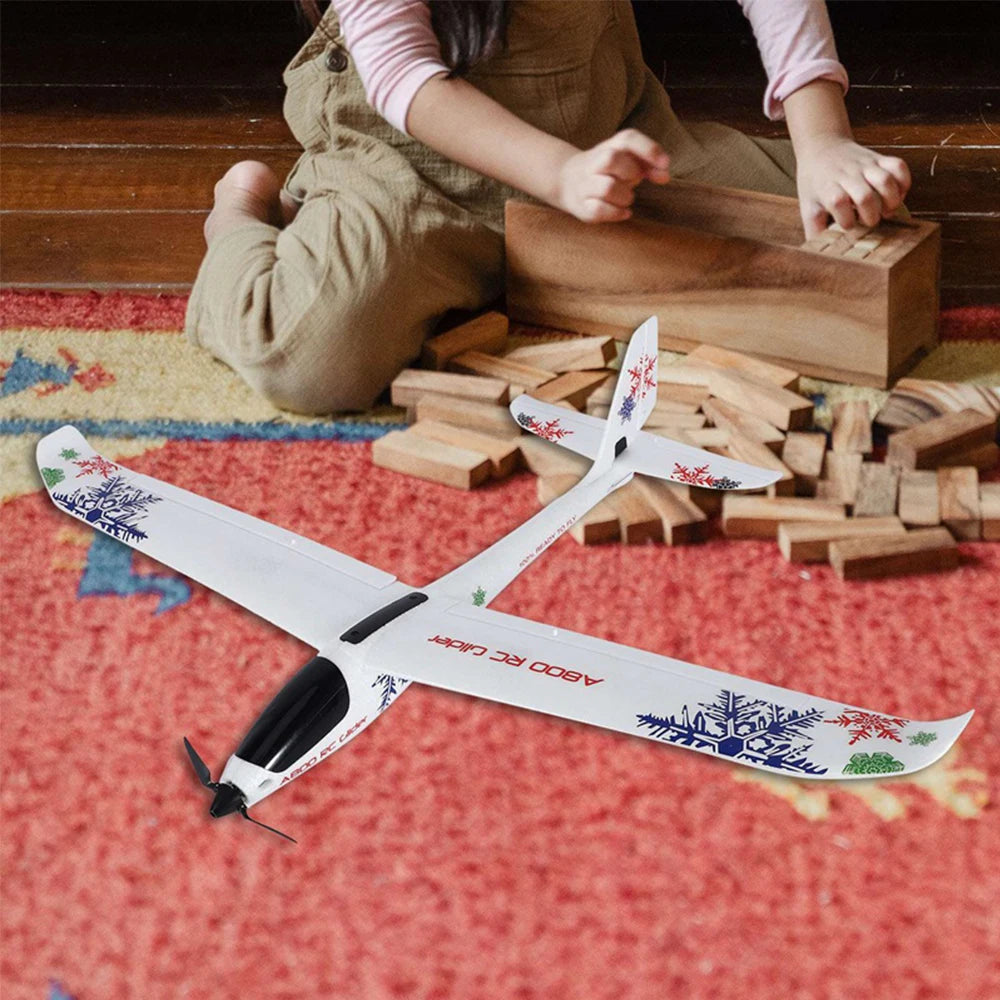 XK A800 RC AirPlane, the style is the same as shown in the pictures.