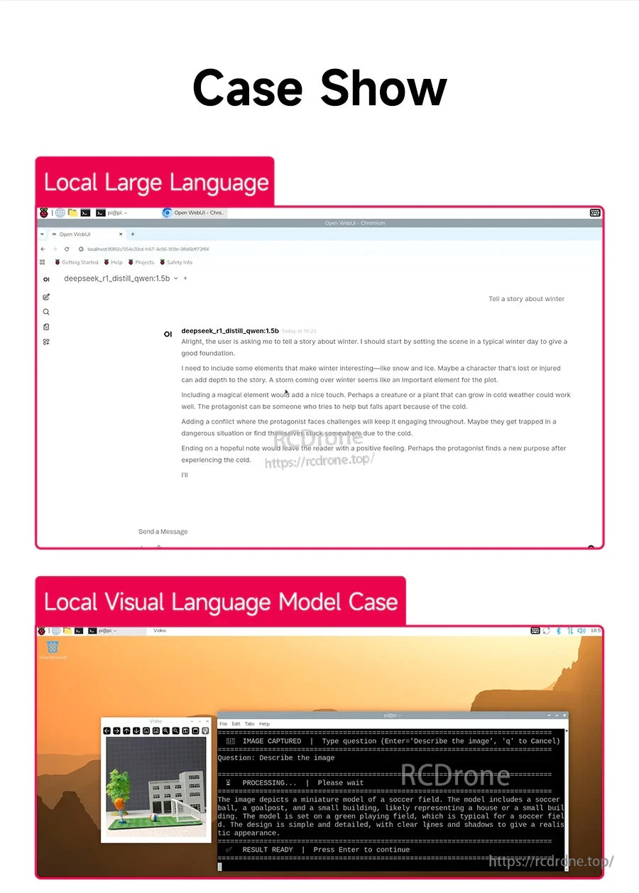 Local LLM and local VLM demo screenshots illustrating on-device text generation and vision-language interaction