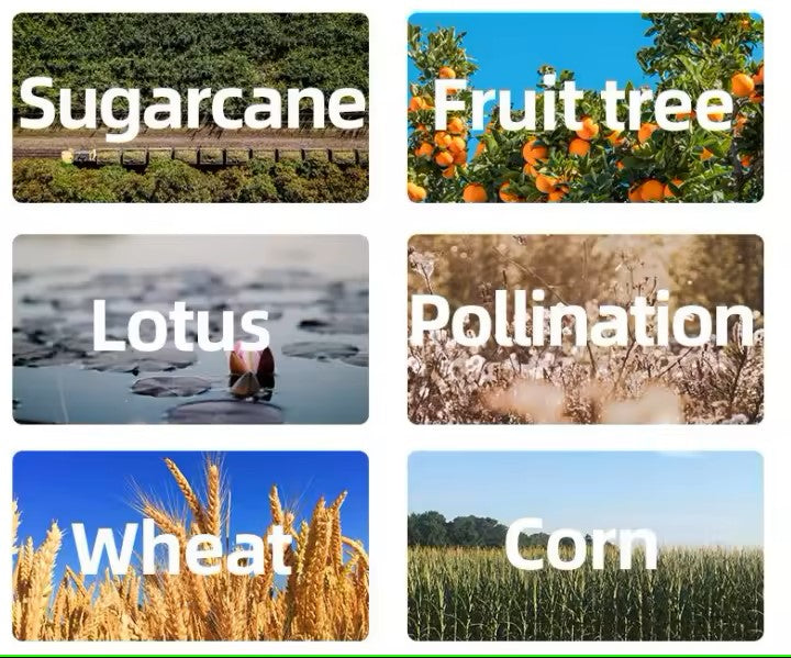 AGR B100 Agriculture Drone, Drone optimizes crop yields through precision agriculture applications, enhancing pollination of sugarcane, fruit trees, lotus, and wheat.