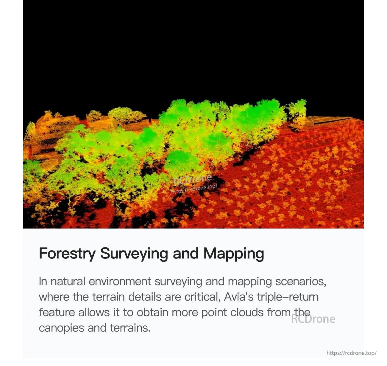 Forestry surveying point cloud example with canopy and ground returns highlighted using Avia triple-return capability