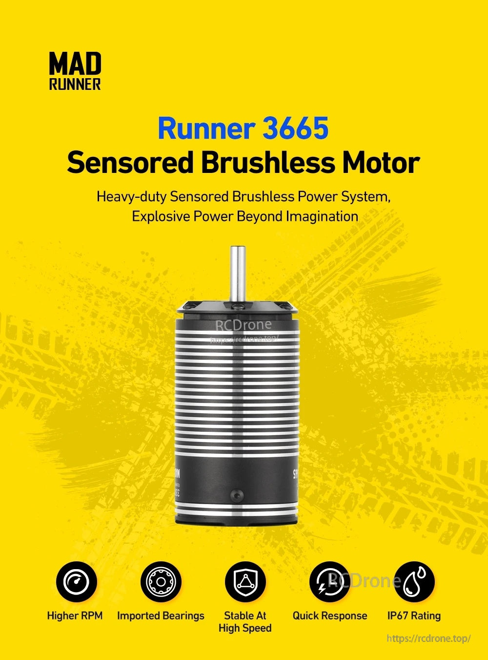 MAD Runner3665 Sensored Brushless Motor For RC Cars (2~3S/2~4S)