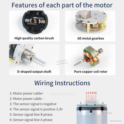 Motor internal features and wiring instructions diagram showing brush, metal gearbox, D-shaft and pinout
