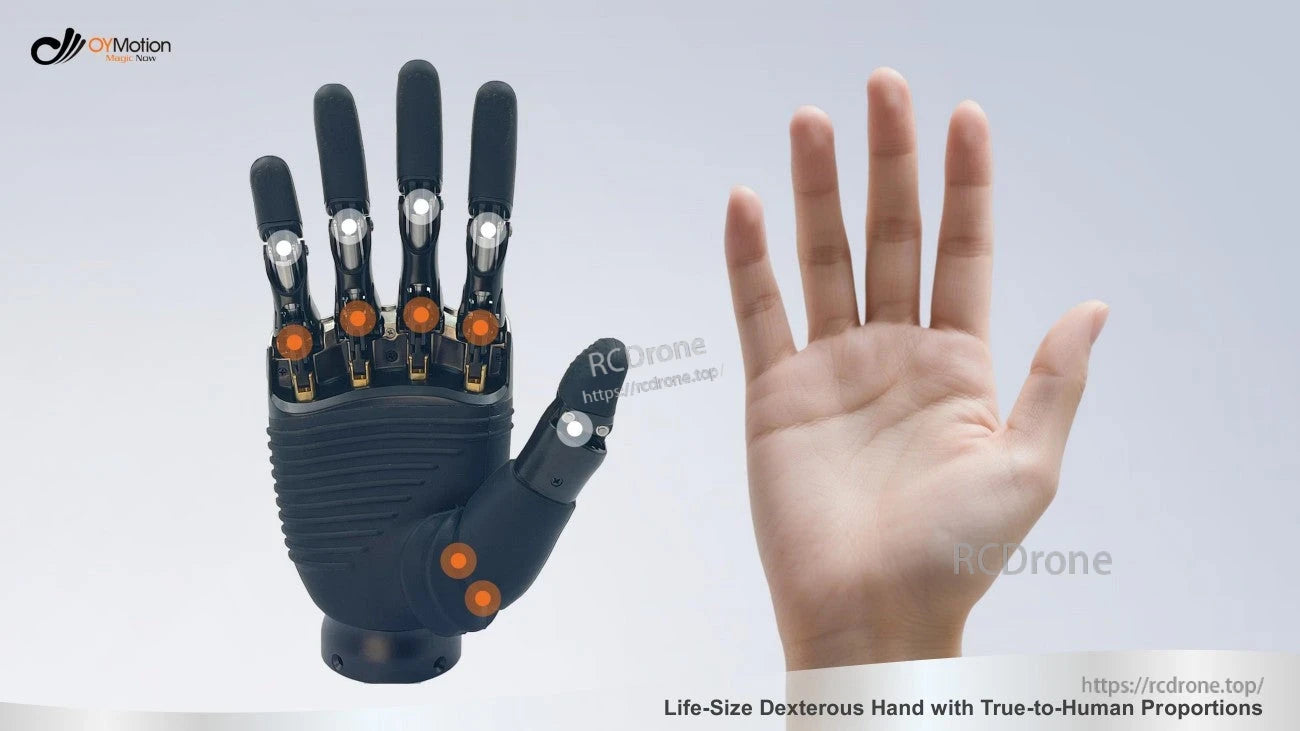 OYMotion ROH-AP001 Dexterous Robot Hand, The OYMotion ROH-AP001 robot hand mimics human proportions with articulated fingers and sensors for precise, life-size manipulation.