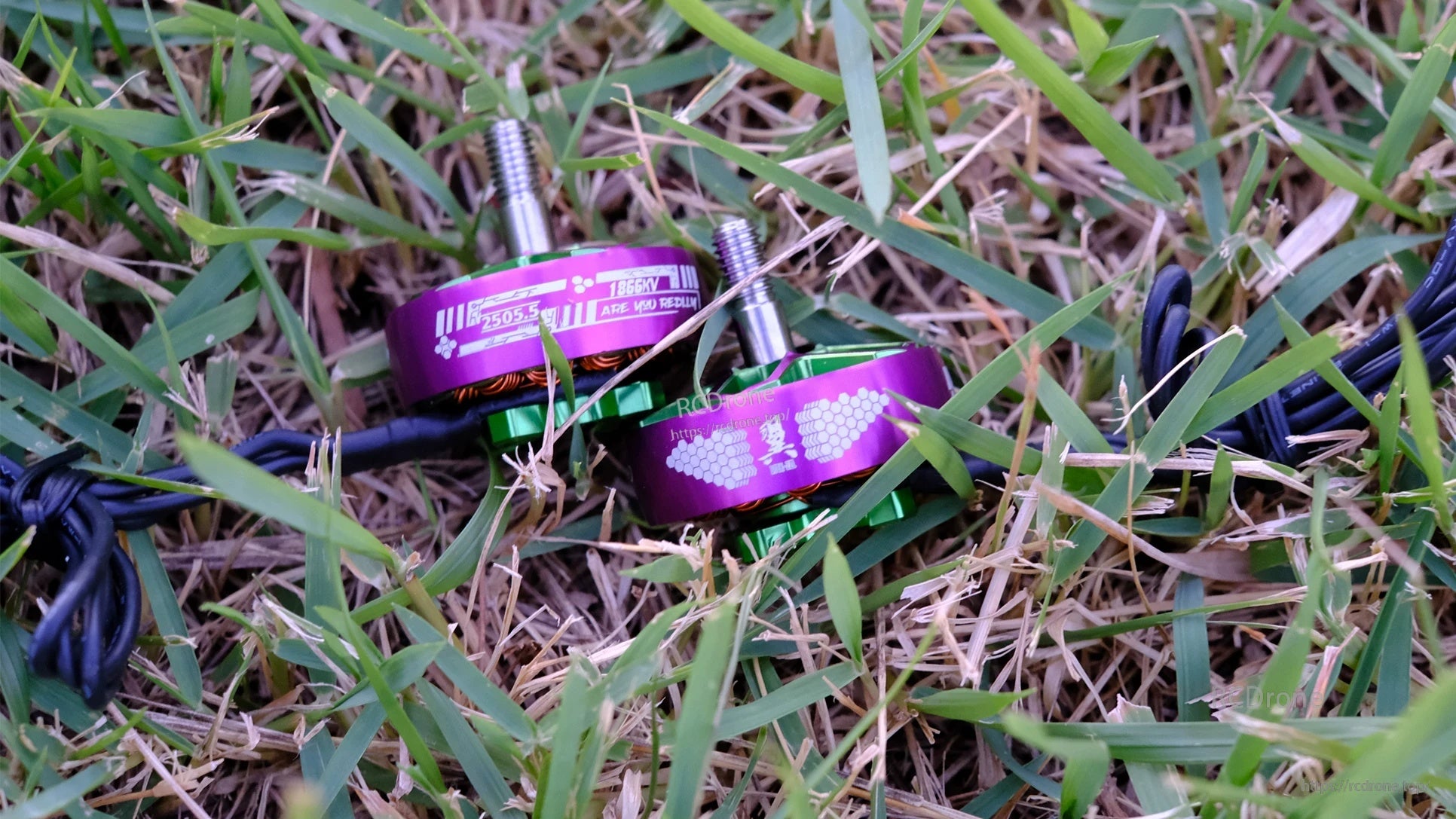 Pair of Wing 2505.5 motors resting in grass, highlighting low-profile bell, wiring leads, and titanium-colored shaft