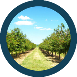 TTA G300 30L Agriculture Drone - 6 Axis 24 Acres Per Hour Heavy Lift Seed Spreader Sprayer Drone 7 TTA G300 30L Agriculture Drone, Bigger inlet for you to fill in the chemical faster with no